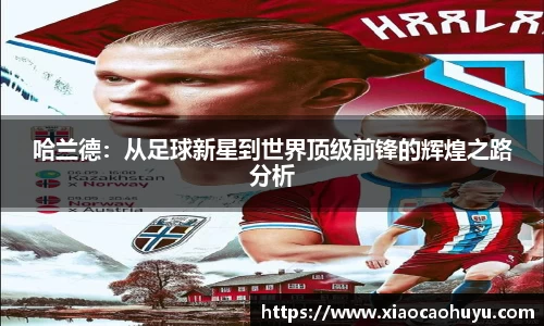 哈兰德：从足球新星到世界顶级前锋的辉煌之路分析
