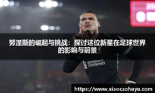 努涅斯的崛起与挑战：探讨这位新星在足球世界的影响与前景