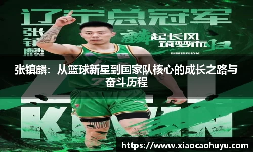 必一运动b-sports平台