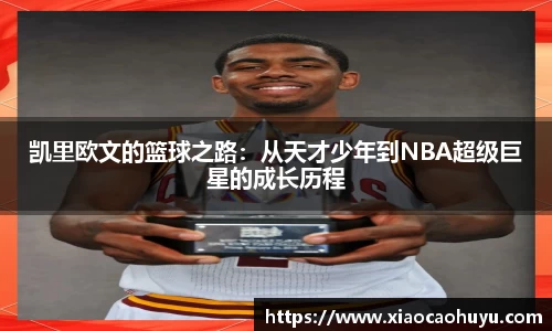 必一运动b-sports